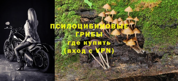 бутик Дмитриев