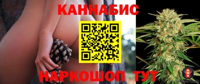 гашик Обнинск
