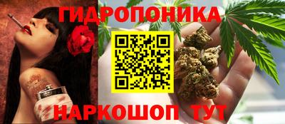 гашик Обнинск