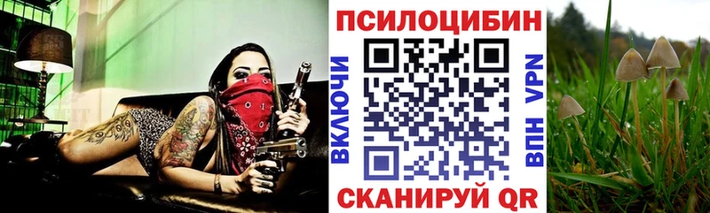 Галлюциногенные грибы MAGIC MUSHROOMS  купить наркотик  Советск 