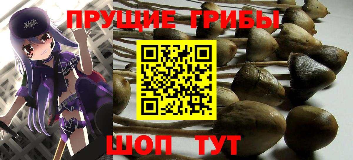 Псилоцибиновые грибы Magic Shrooms Советск
